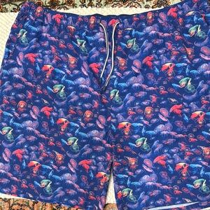 Peter Millar Blue and Red Swim Trunks with Abstract Design